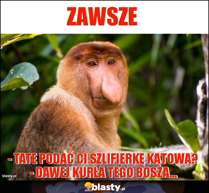 Zawsze