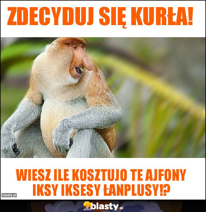 ZDECYDUJ SIĘ KURŁA!