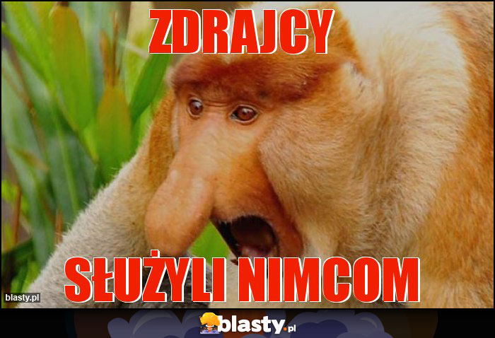 ZDRAJCY