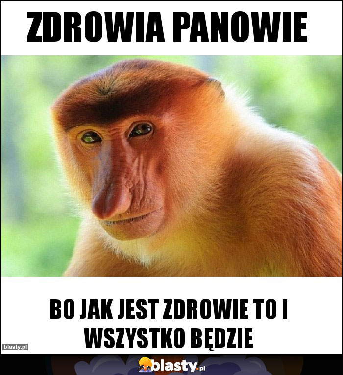 Zdrowia Panowie