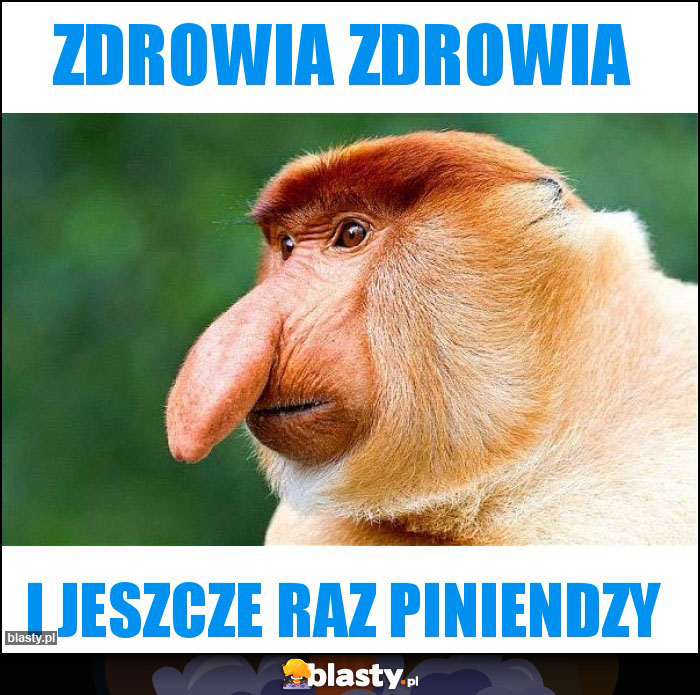 Zdrowia zdrowia