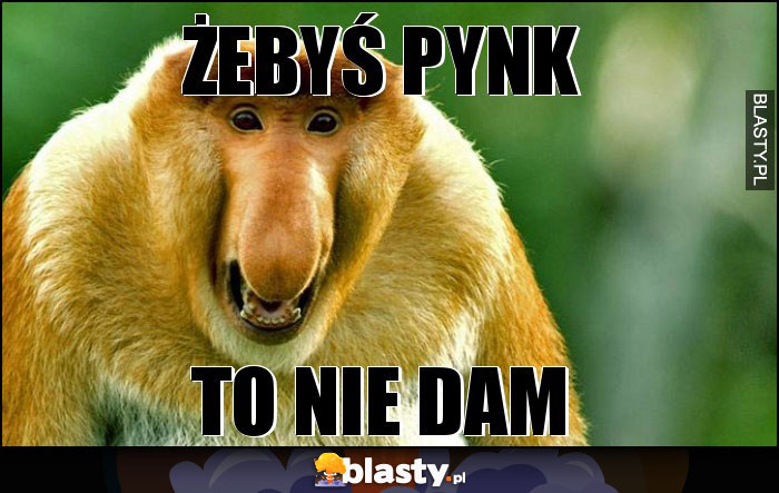 Żebyś pynk