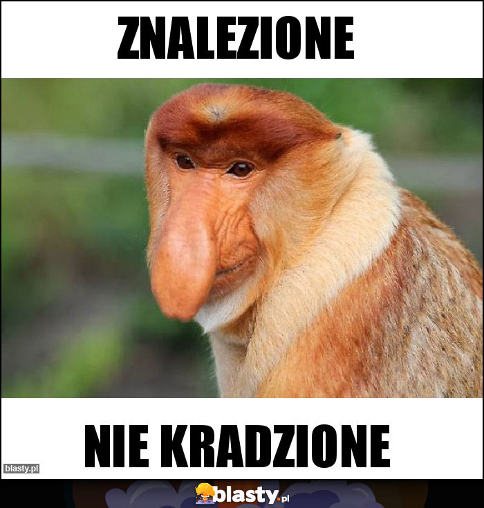 Znalezione