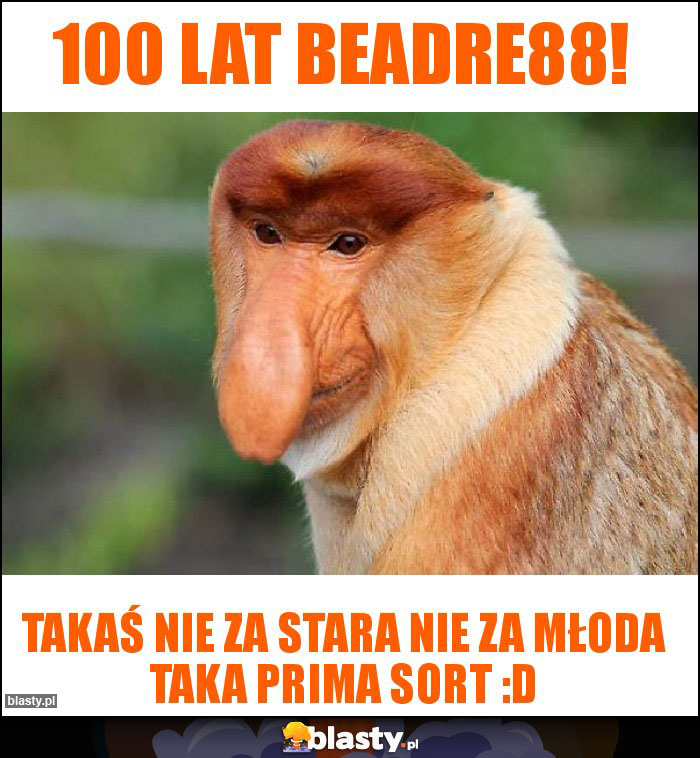 100 lat Beadre88!