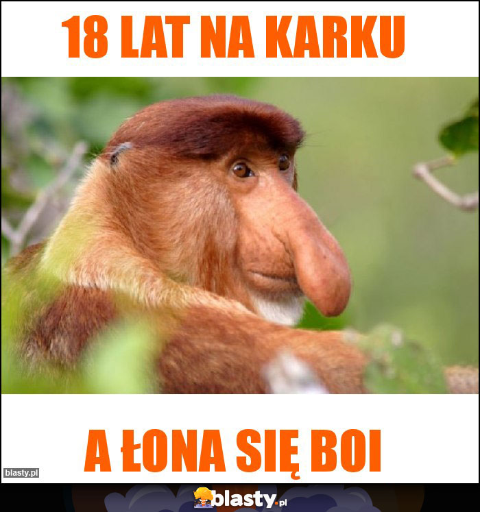 18 lat na karku