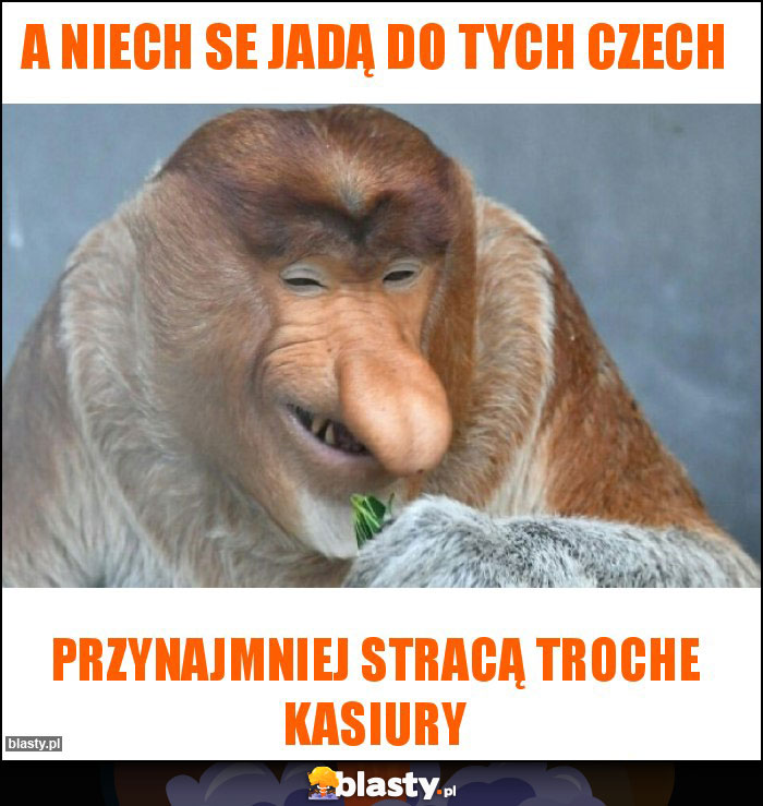 A niech se jadą do tych czech