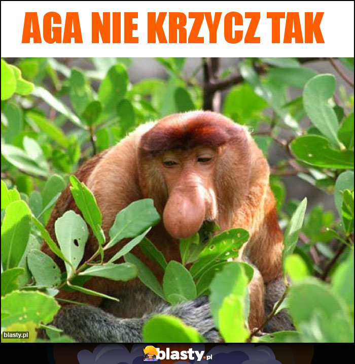 Aga nie krzycz tak