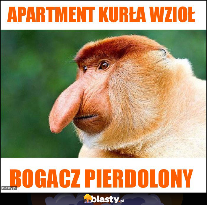 Apartment kurła wzioł