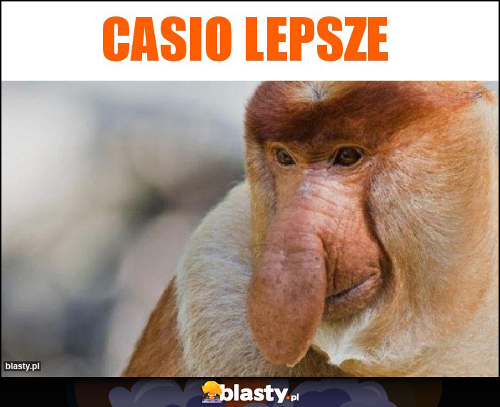 Casio lepsze