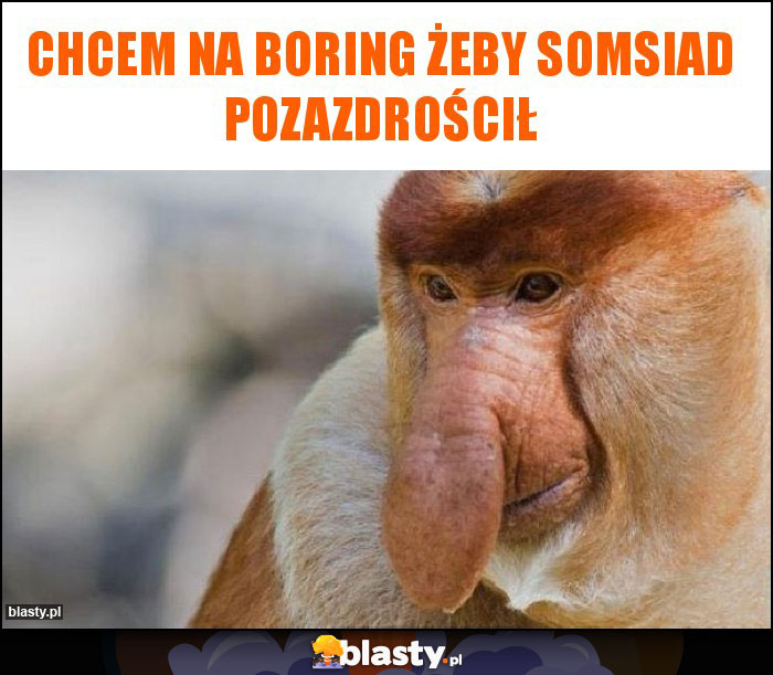 Chcem na boring żeby Somsiad pozazdrościł