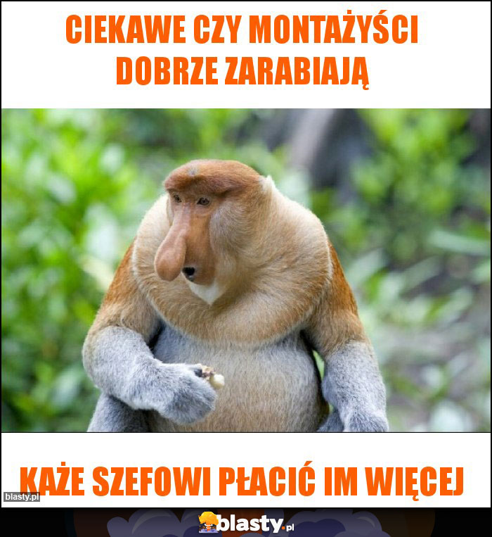 Ciekawe czy montażyści dobrze zarabiają