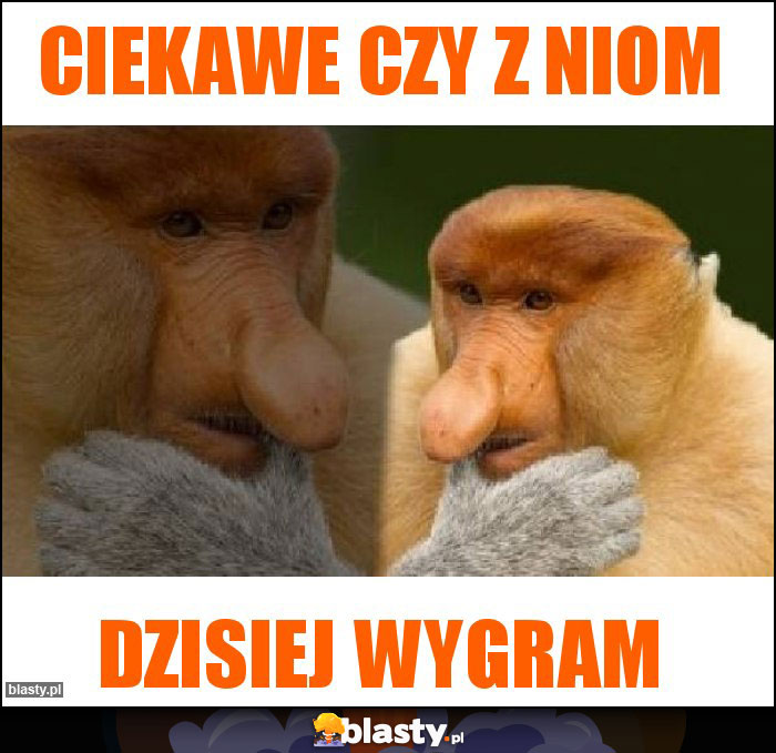 Ciekawe czy z niom