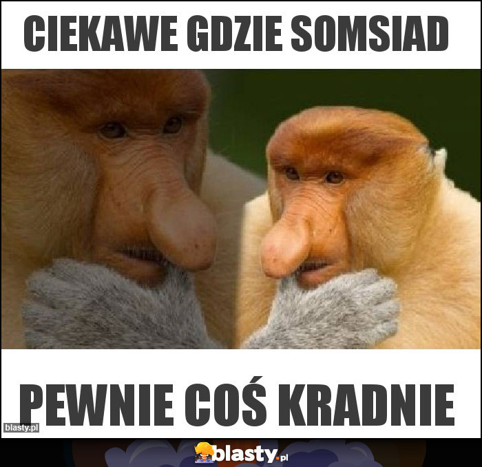 Ciekawe gdzie somsiad