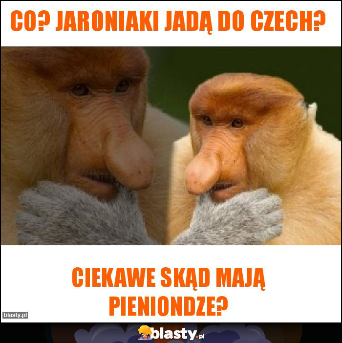 Co? Jaroniaki jadą do Czech?