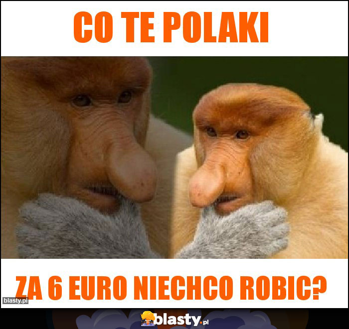 Co te polaki