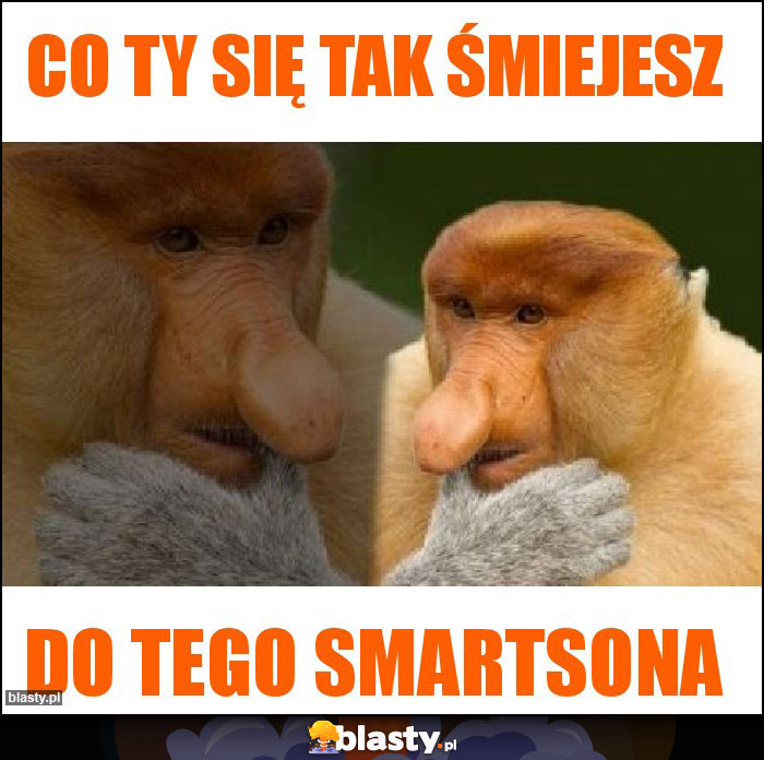 Co Ty się tak śmiejesz