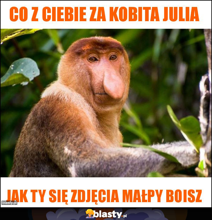 Co z Ciebie za kobita julia