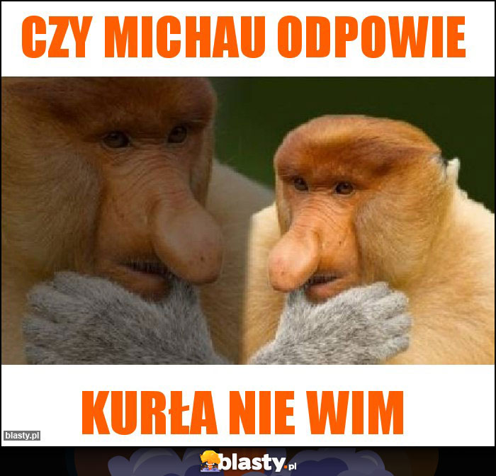 Czy Michau odpowie