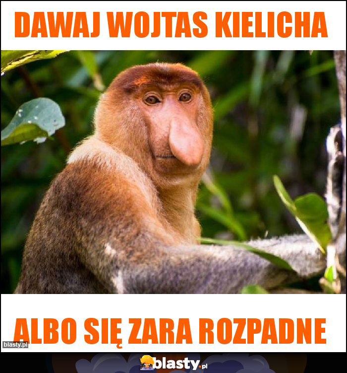 Dawaj Wojtas kielicha