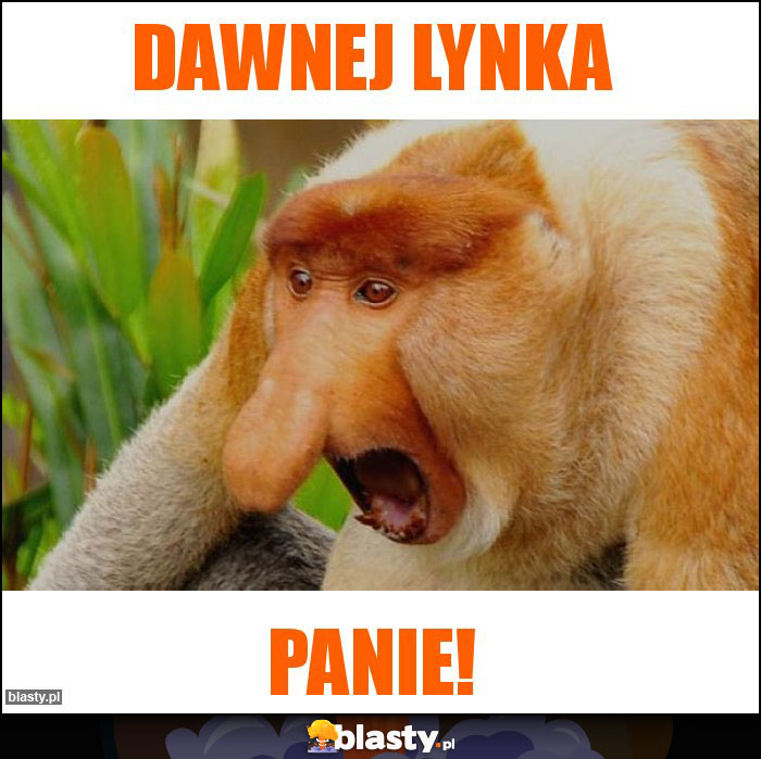 Dawnej lynka