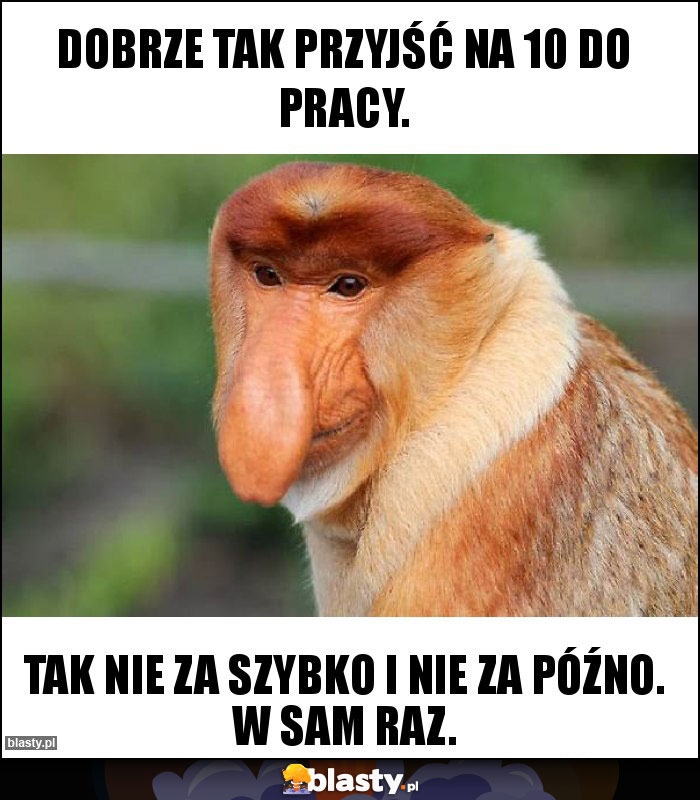 Dobrze tak przyjść na 10 do pracy.