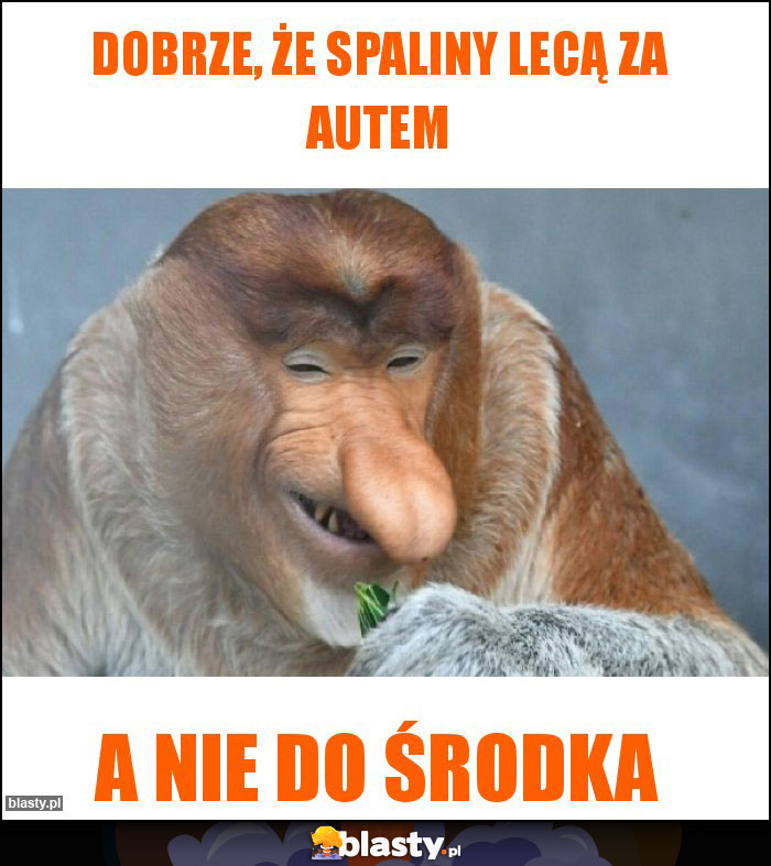 dobrze, że spaliny lecą za autem