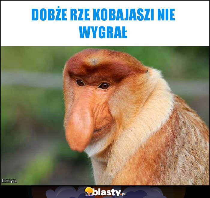 DOBŻE RZE KOBAJASZI NIE WYGRAŁ