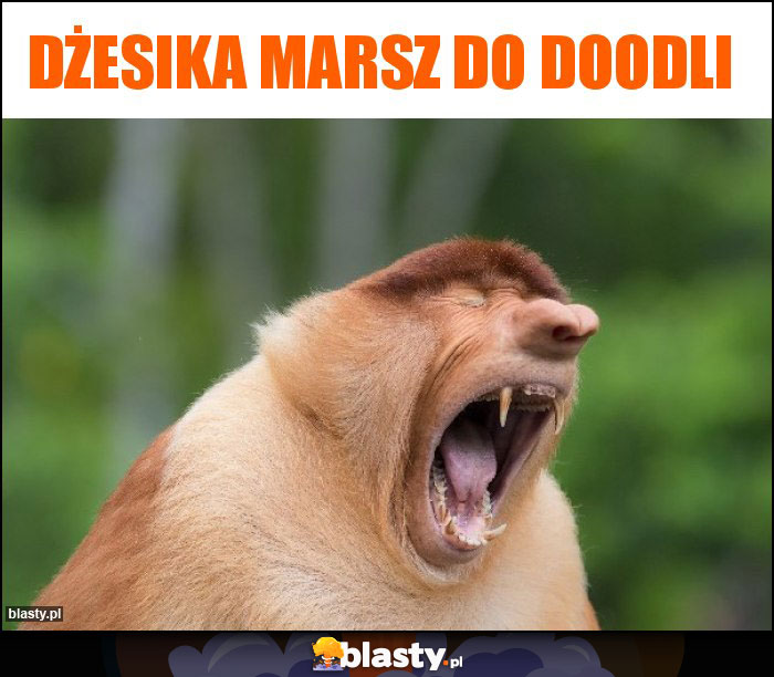 Dżesika marsz do doodli