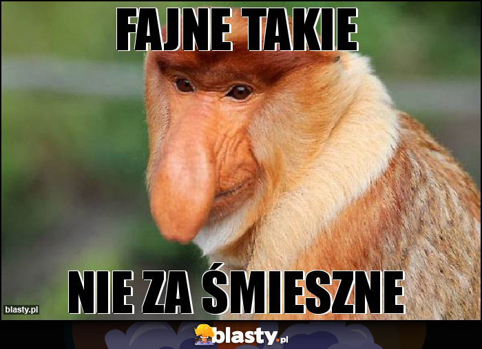 FAJNE TAKIE