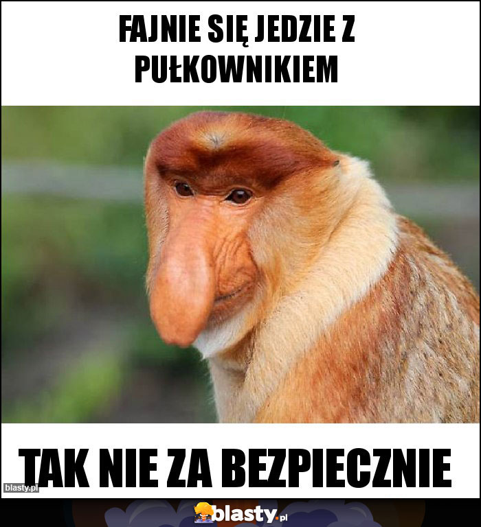 Fajnie się jedzie z Pułkownikiem