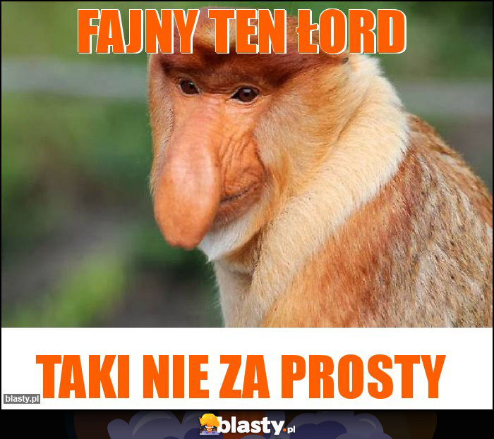 Fajny ten łord