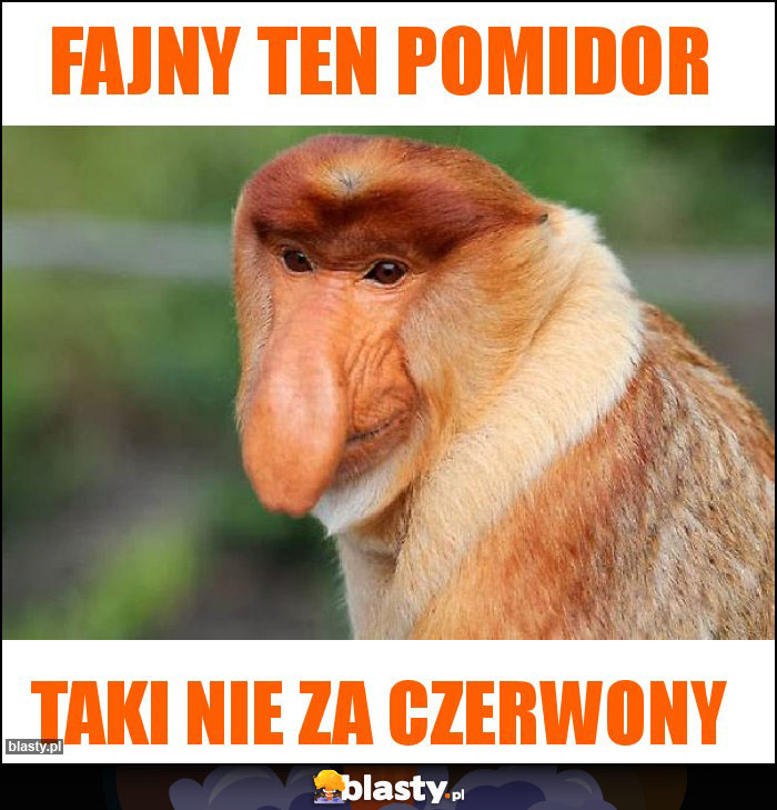 FAJNY TEN POMIDOR