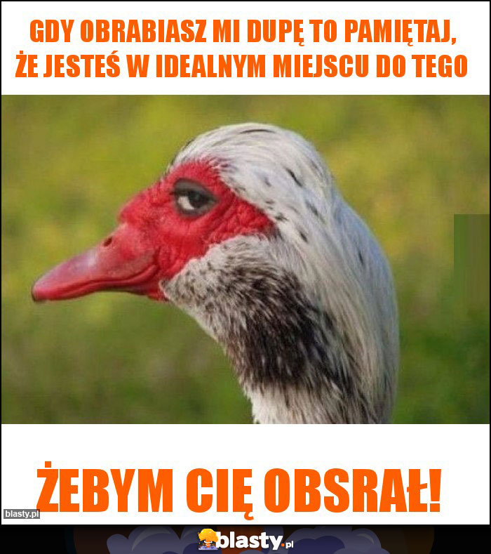 Gdy obrabiasz mi dupę to pamiętaj, że jesteś w idealnym miejscu do tego