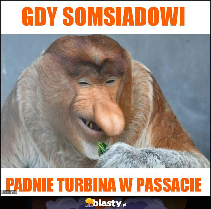 gdy somsiadowi