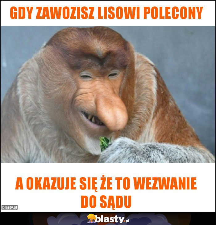 Gdy zawozisz Lisowi polecony