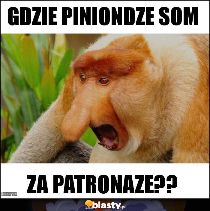 Gdzie piniondze som