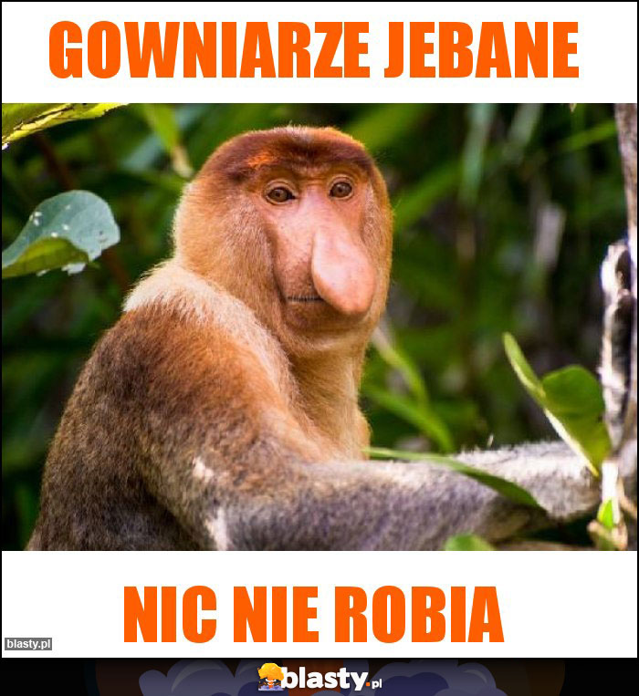 Gowniarze jebane