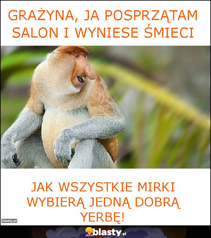 Grażyna, ja posprzątam salon i wyniese śmieci