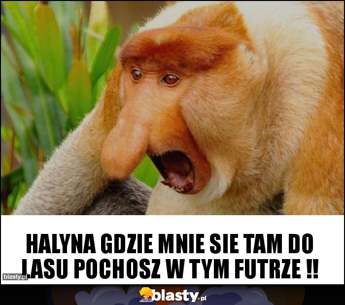 Halyna gdzie mnie sie tam do lasu pochosz w tym futrze !!