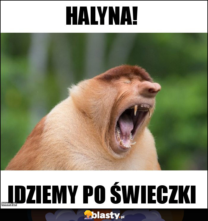 Halyna!