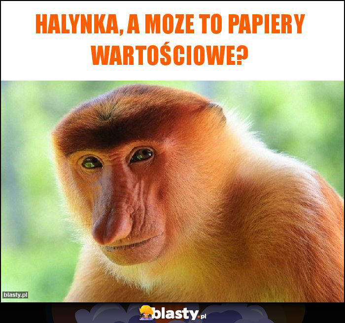 halynka, a moze to papiery wartościowe?