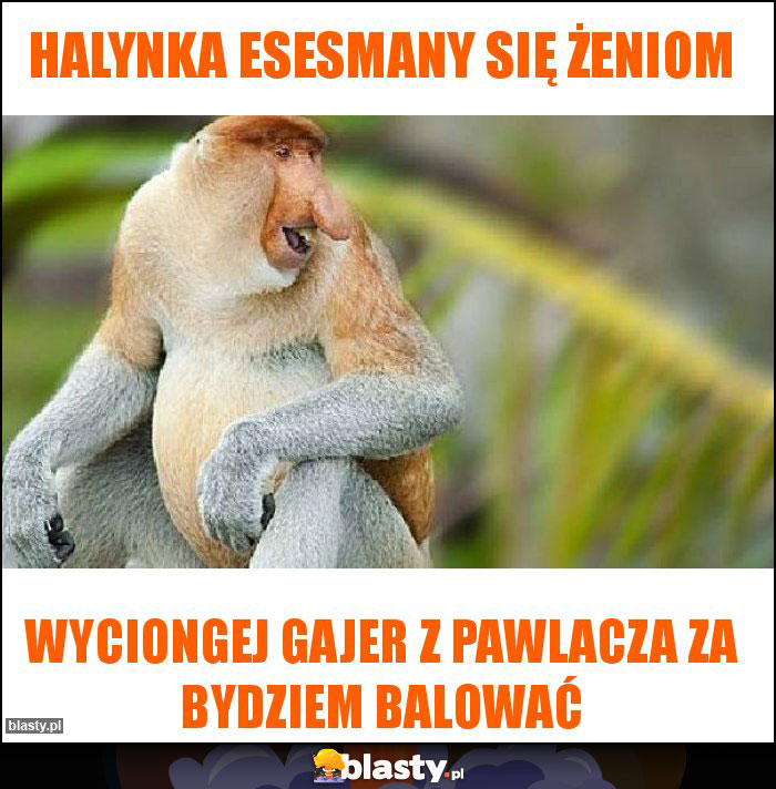 Halynka esesmany się żeniom