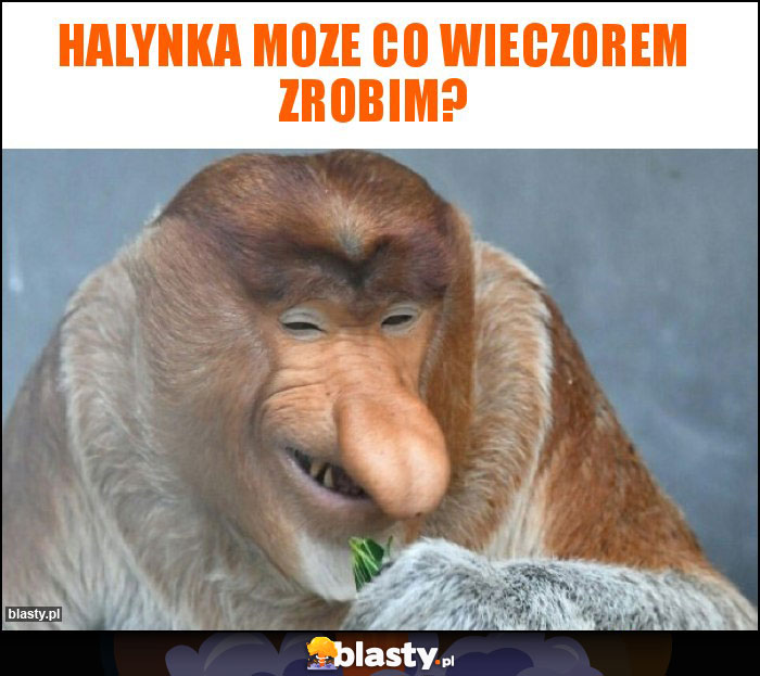 halynka moze co wieczorem zrobim?