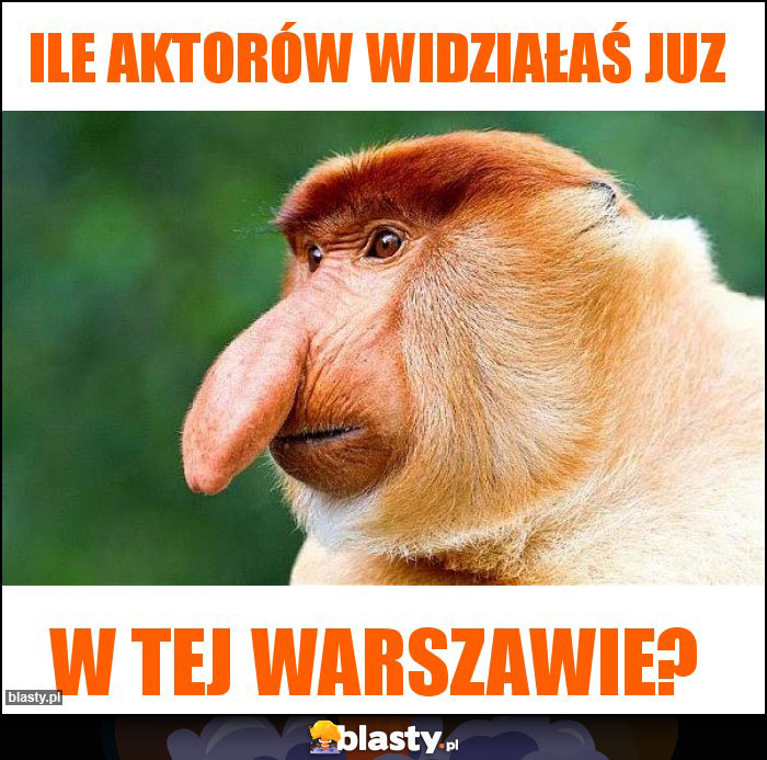 Ile aktorów widziałaś juz