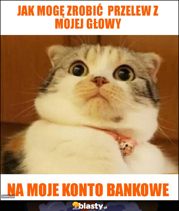 Jak mogę zrobić  przelew z mojej głowy