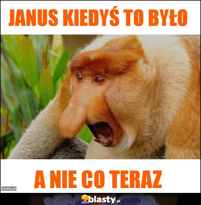 Janus kiedyś to było