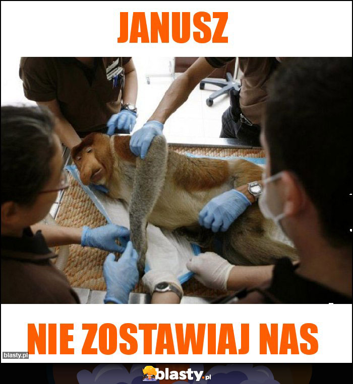 Janusz