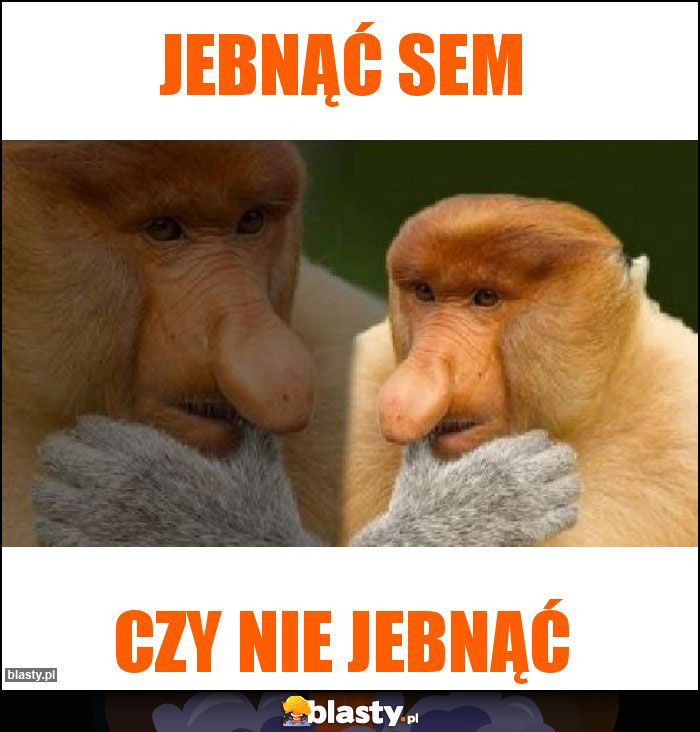 Jebnąć sem