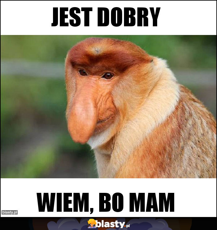 Jest dobry