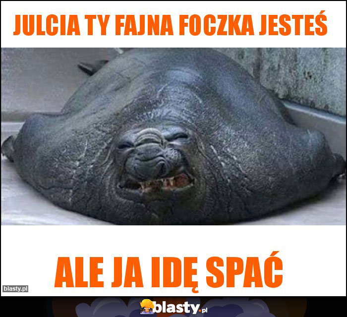 Julcia ty fajna foczka jesteś